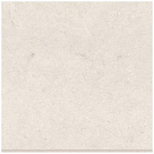 Bedrosians Poetry Stone 12" x 12" Matte Porcelain Field Tile