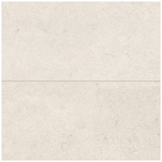 Bedrosians Poetry Stone 12" x 24" Matte Porcelain Field Tile