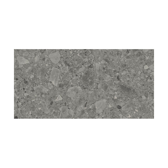 Ottimo Flodsten 24" x 48" Rectified Matte Porcelain Tile