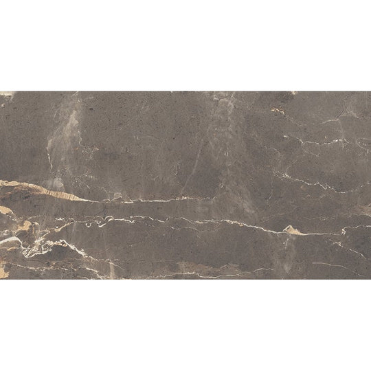 Milestone-12-x-24-Absolute-Matte-Porcelain-Tile-Brown