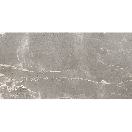 Milestone-12-x-24-Absolute-Matte-Porcelain-Tile-Dark-Grey
