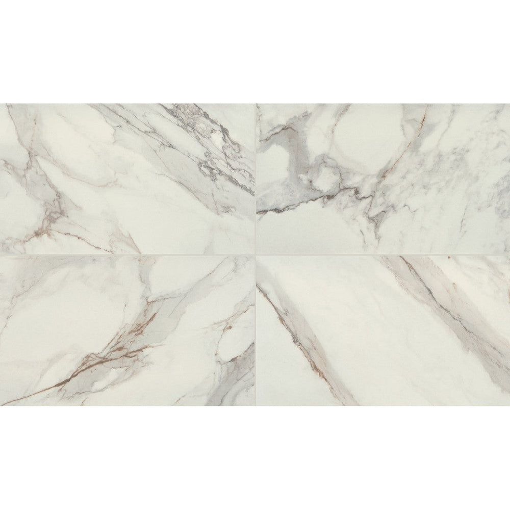 Daltile-Famed-12-x-24-Polished-Porcelain-Microban-Floor-Tile-Iconic