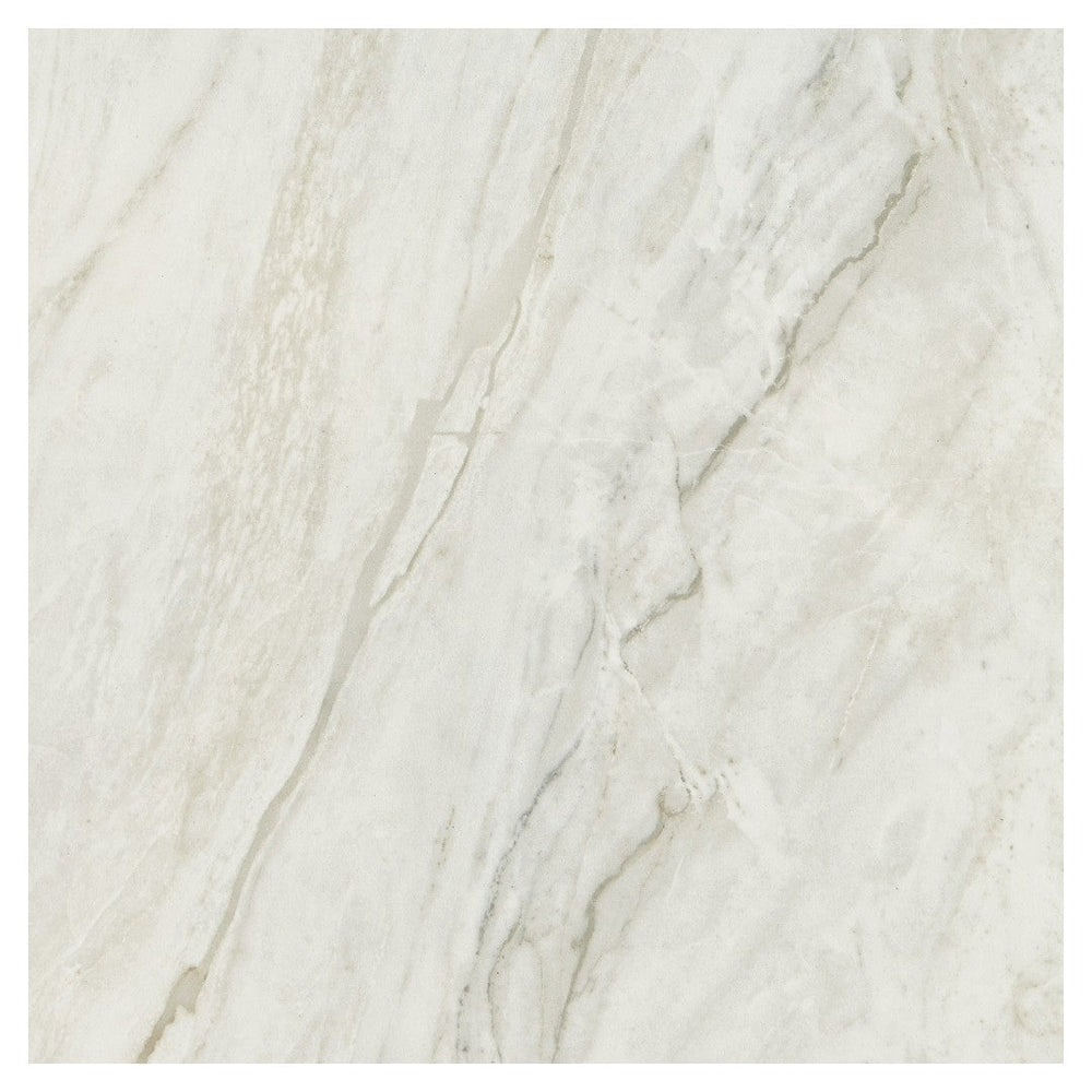 Daltile-Famed-24-x-24-Matte-Porcelain-Microban-Floor-Tile-Iconic