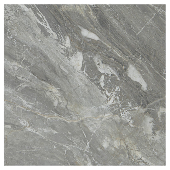 Daltile-Famed-24-x-24-Polished-Porcelain-Microban-Floor-Tile-Glamour