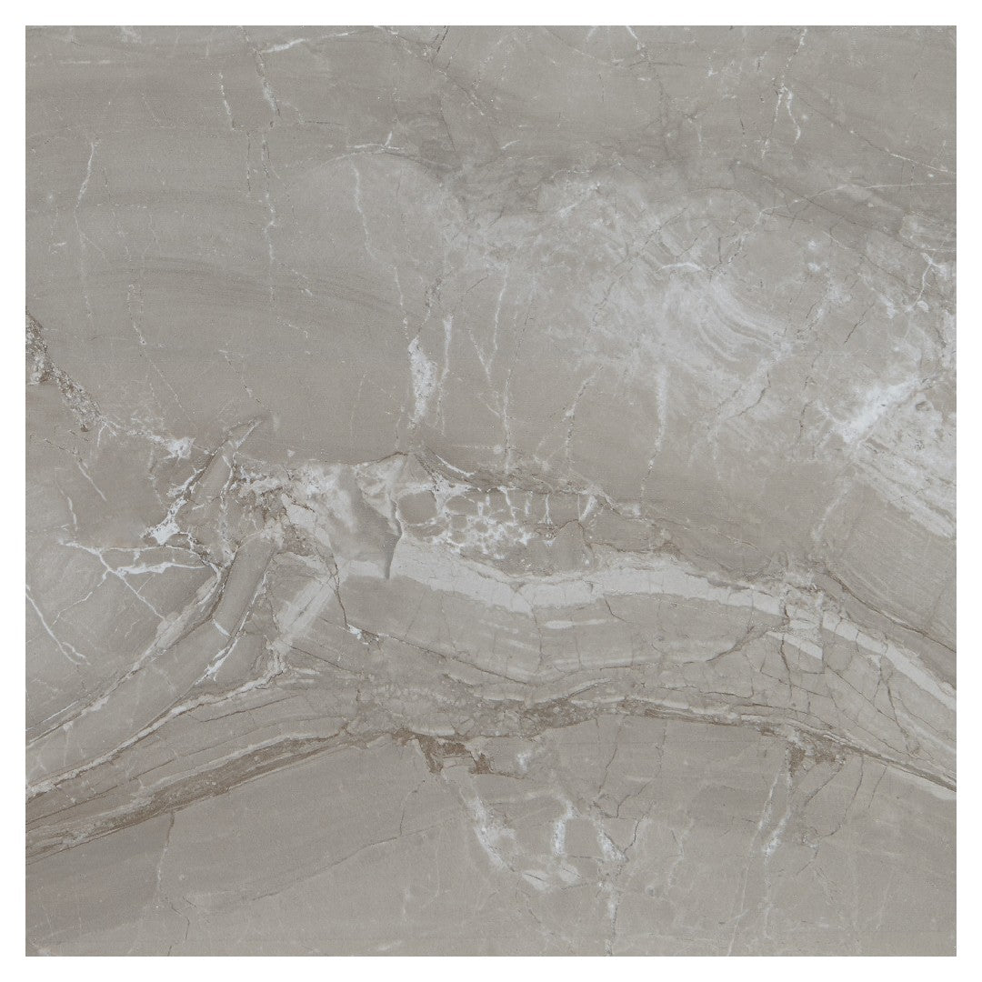 Daltile-Famed-24-x-24-Polished-Porcelain-Microban-Floor-Tile-Fortune