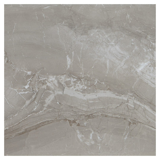 Daltile-Famed-24-x-24-Polished-Porcelain-Microban-Floor-Tile-Fortune