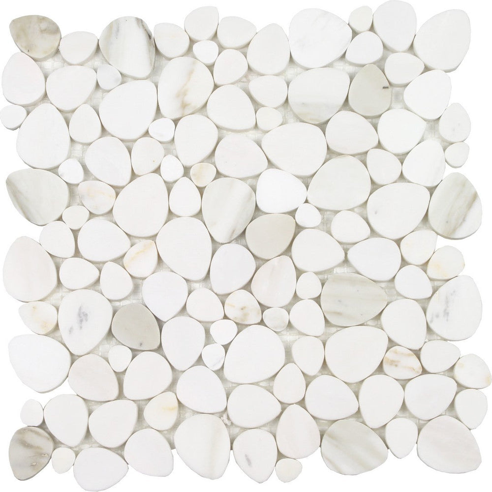 Tesoro 11.75" x 12" Ocean Stones Polished Natural Stone Sliced Mosaic