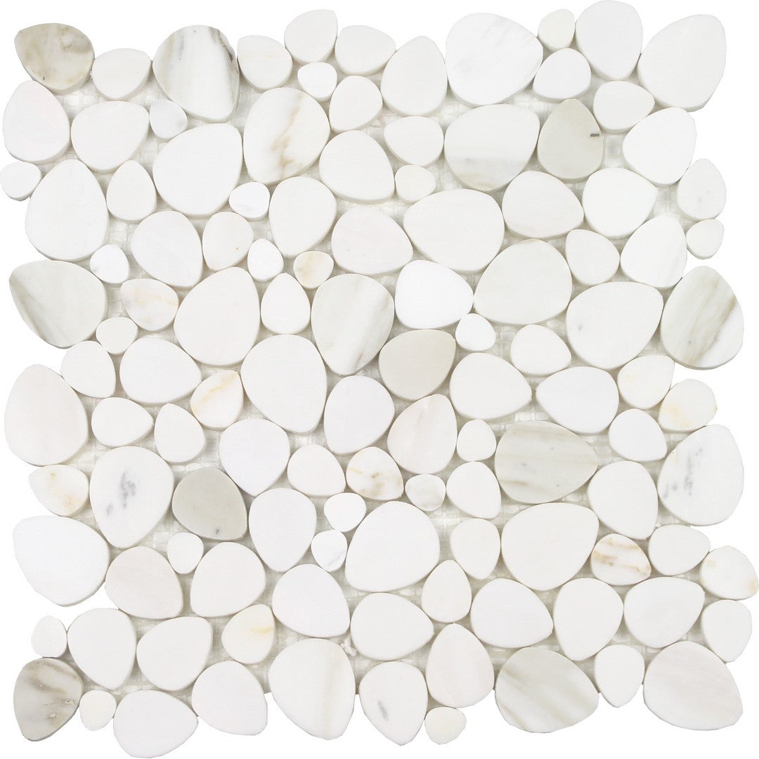 Tesoro 11.75" x 12" Ocean Stones Polished Natural Stone Sliced Mosaic