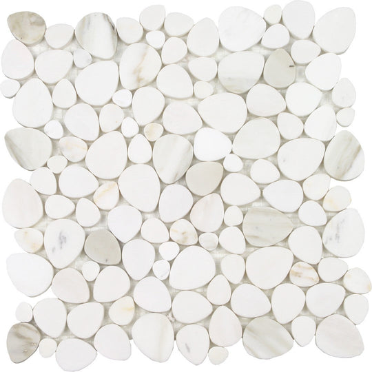 Tesoro 11.75" x 12" Ocean Stones Polished Natural Stone Sliced Mosaic