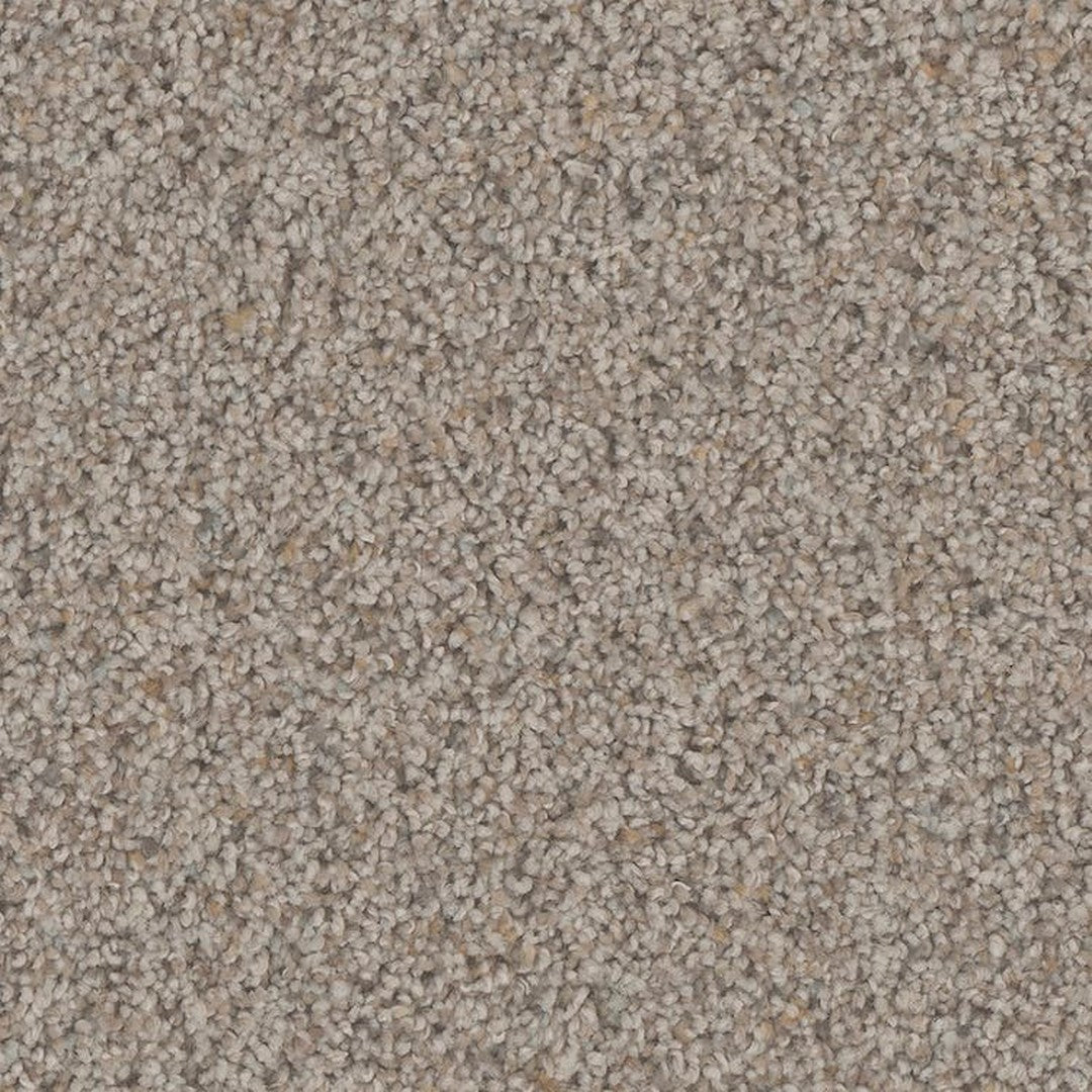 Phenix Floor Ever Pet Plus 12' Hydra Carpet Tile