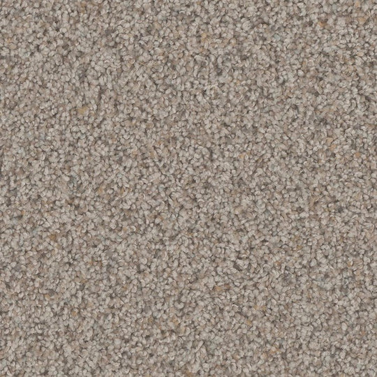 Phenix Floor Ever Pet Plus 12' Hydra Carpet Tile