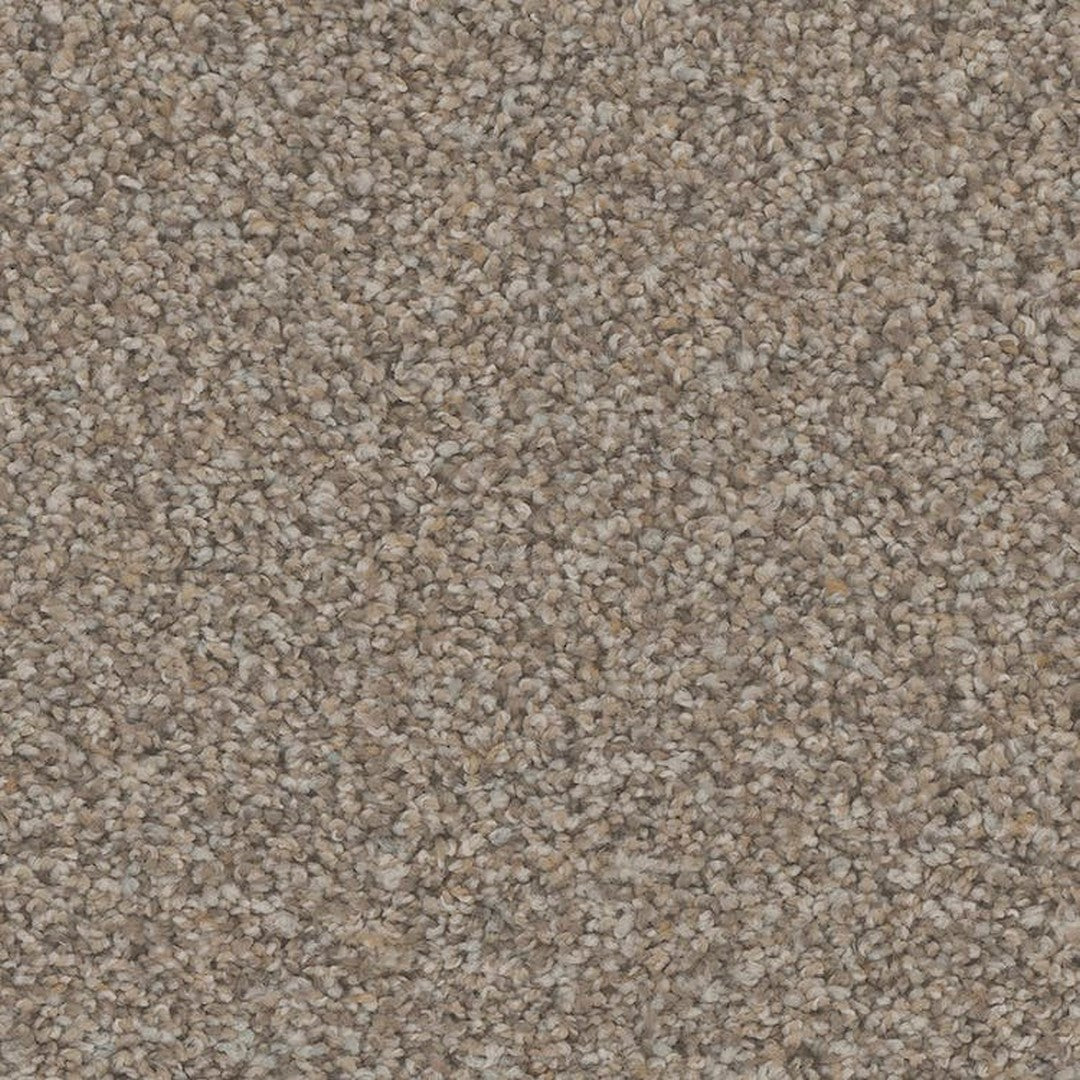 Phenix Floor Ever Pet Plus 12' Rhodes Carpet Tile