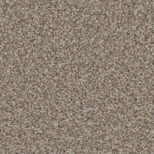 Phenix Floor Ever Pet Plus 12' Rhodes Carpet Tile