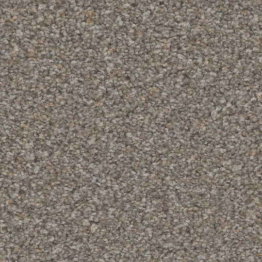 Phenix Floor Ever Pet Plus 12' Rhodes Carpet Tile