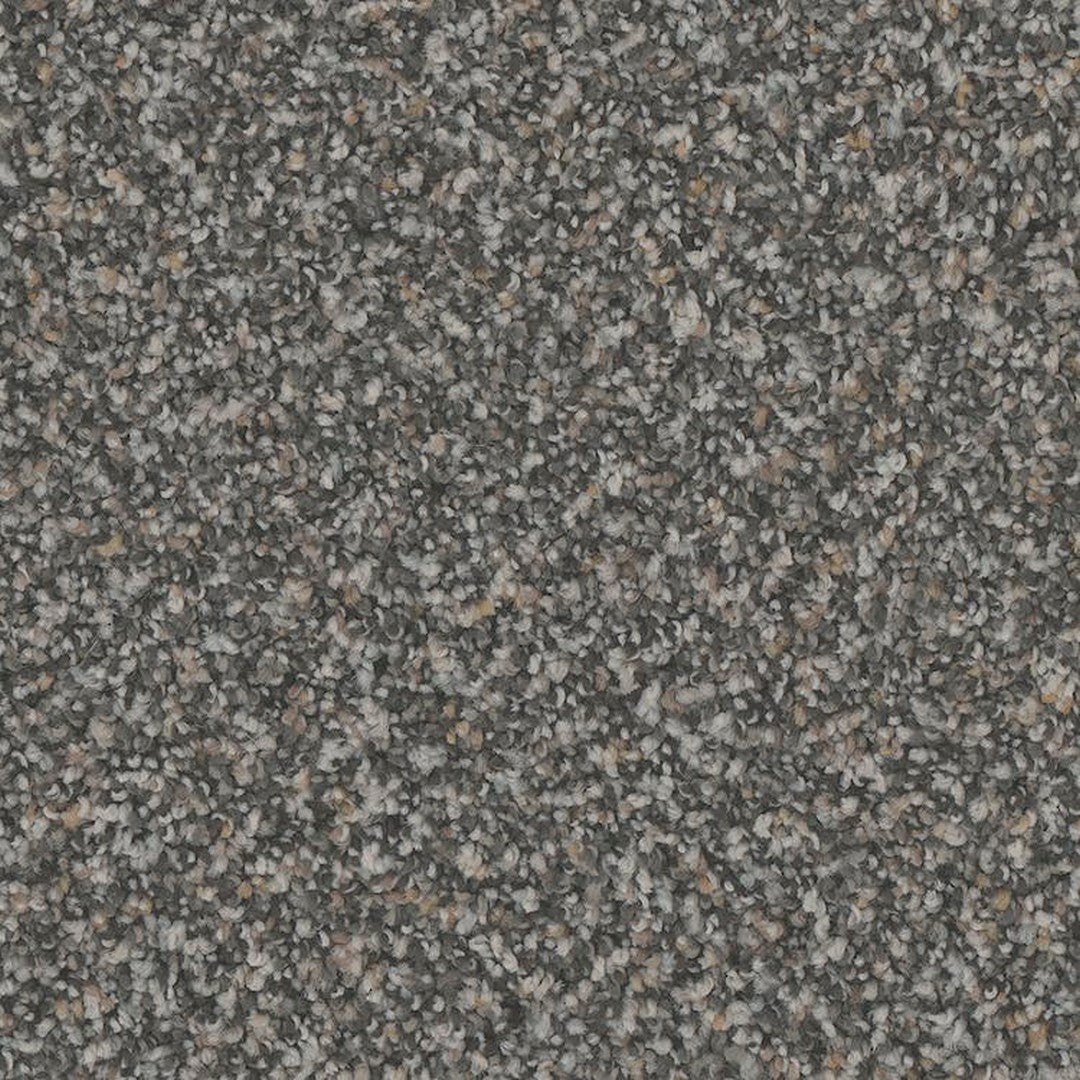 Phenix Floor Ever Pet Plus 12' Rhodes Carpet Tile