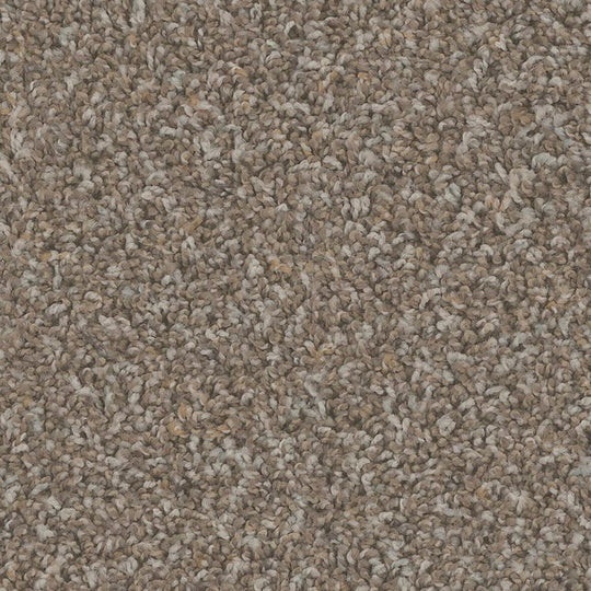 Phenix Floor Ever Pet Plus Crete 12' Carpet Tile