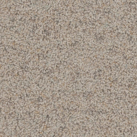 Phenix Floor Ever Pet Plus 12' Sparta Carpet Tile