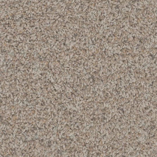 Phenix Floor Ever Pet Plus 12' Sparta Carpet Tile