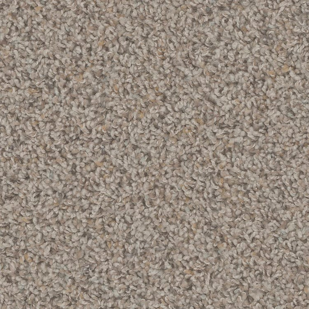 Phenix Floor Ever Pet Plus 12' Sparta Carpet Tile