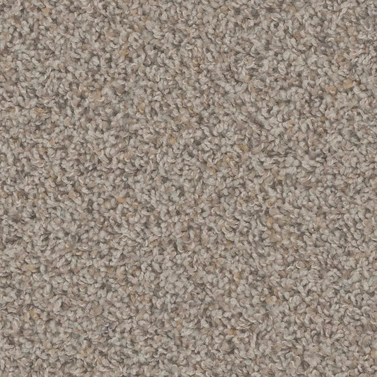 Phenix Floor Ever Pet Plus 12' Sparta Carpet Tile