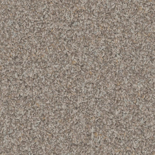 Phenix Floor Ever Pet Plus 12' Sparta Carpet Tile