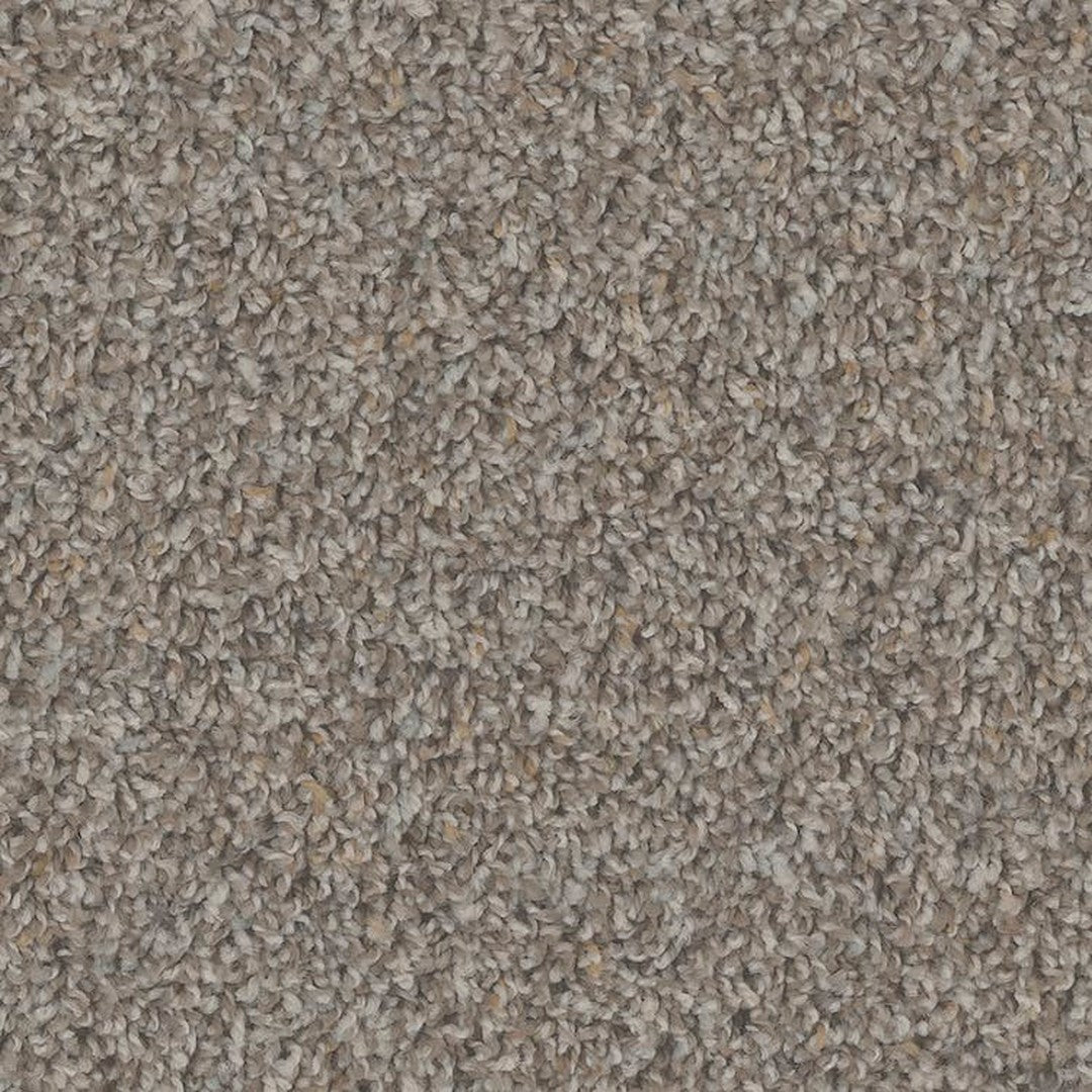 Phenix Floor Ever Pet Plus 12' Sparta Carpet Tile