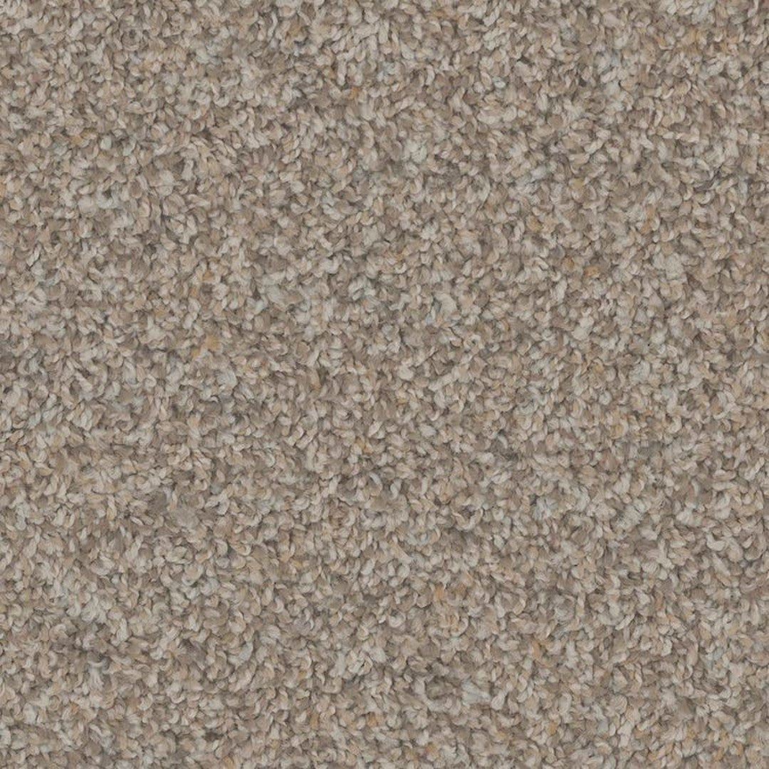 Phenix Floor Ever Pet Plus 12' Sparta Carpet Tile