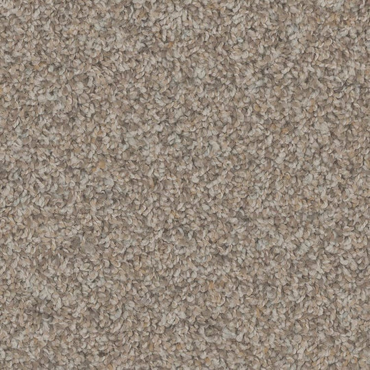 Phenix Floor Ever Pet Plus 12' Sparta Carpet Tile