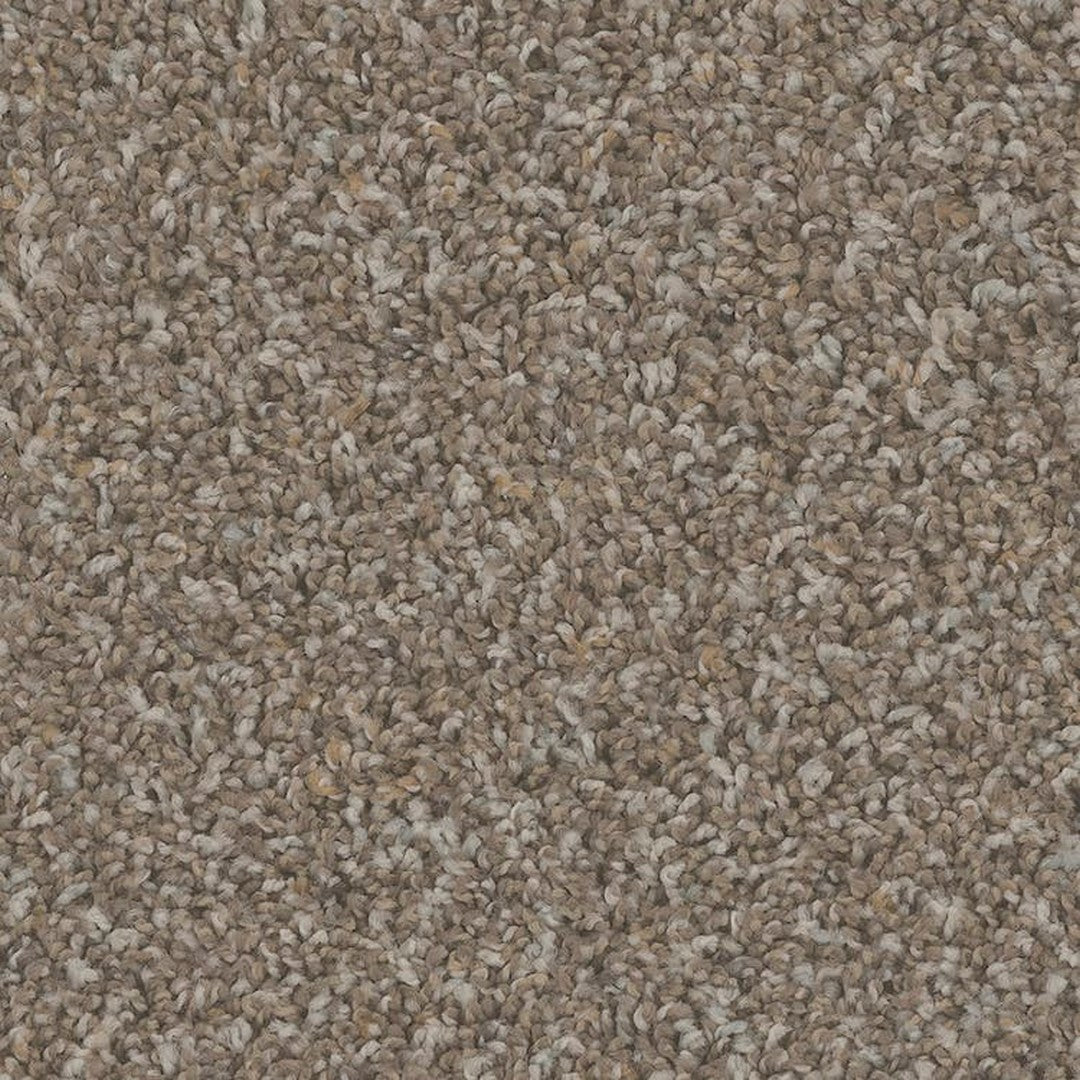 Phenix Floor Ever Pet Plus 12' Sparta Carpet Tile