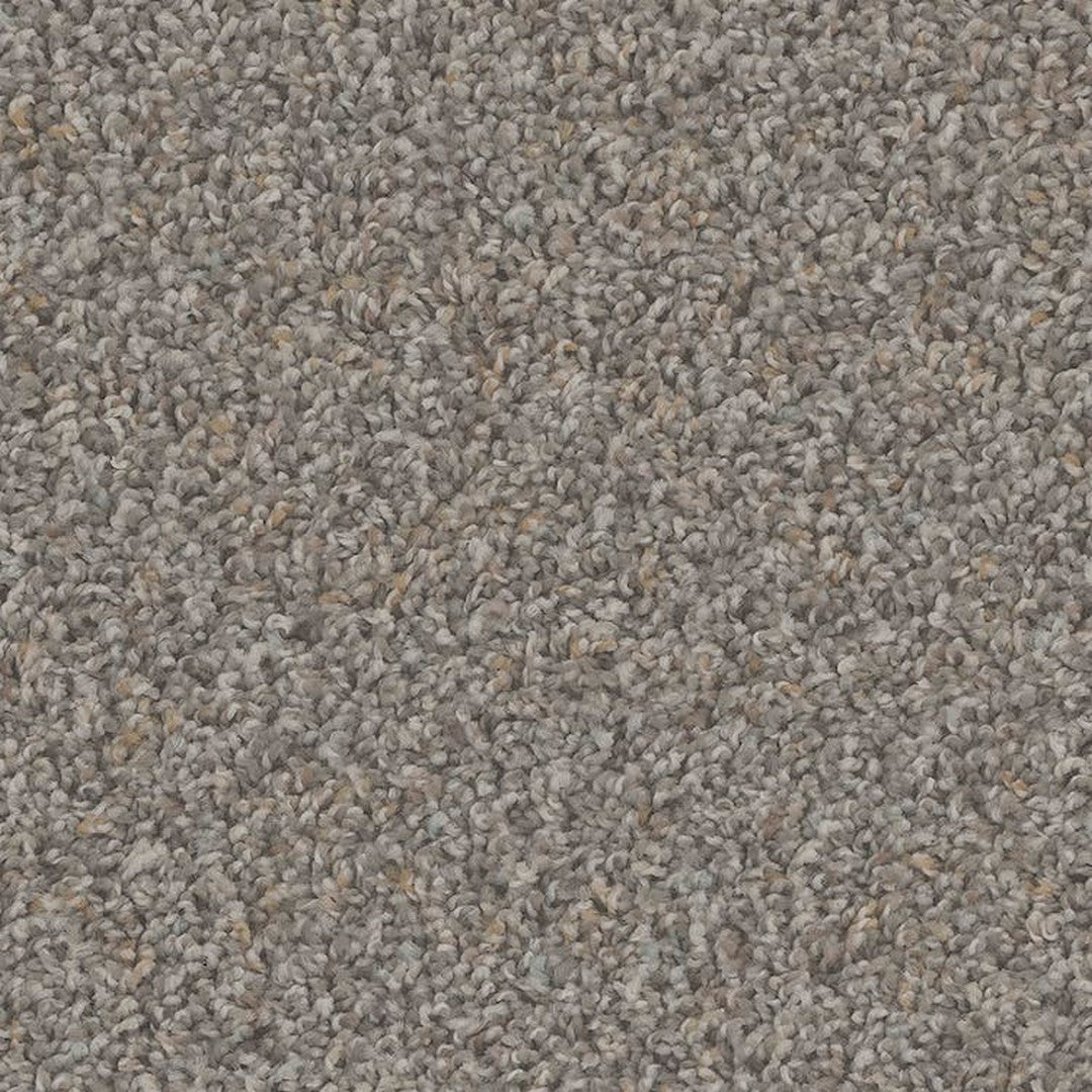 Phenix Floor Ever Pet Plus 12' Sparta Carpet Tile