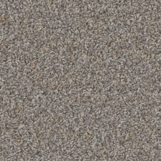 Phenix Floor Ever Pet Plus 12' Sparta Carpet Tile