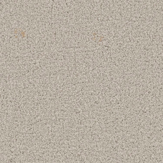 Phenix Floor Ever Pet Plus 12' Emerson Carpet Tile