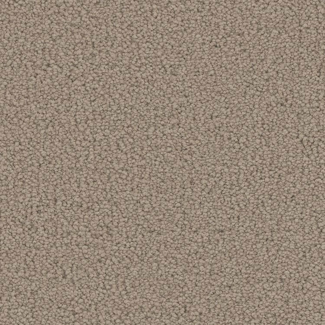 Phenix Floor Ever Pet Plus 12' Emerson Carpet Tile