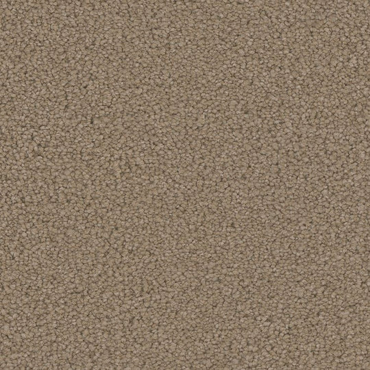 Phenix Floor Ever Pet Plus 12' Emerson Carpet Tile