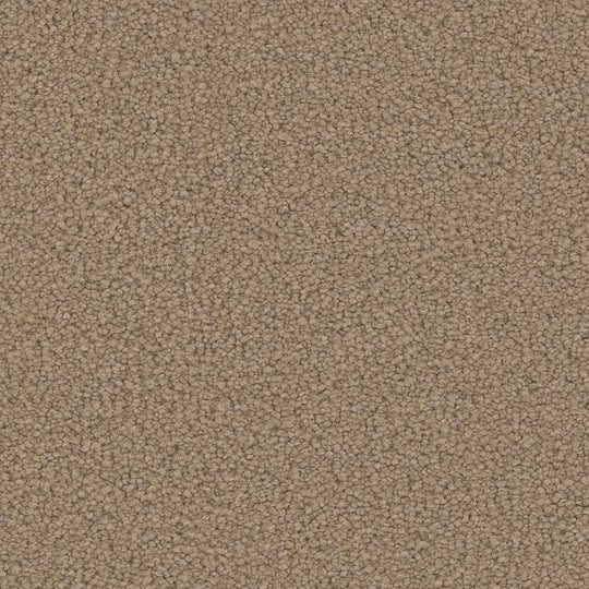 Phenix Floor Ever Pet Plus 12' Emerson Carpet Tile