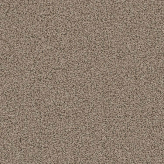 Phenix Floor Ever Pet Plus 12' Emerson Carpet Tile