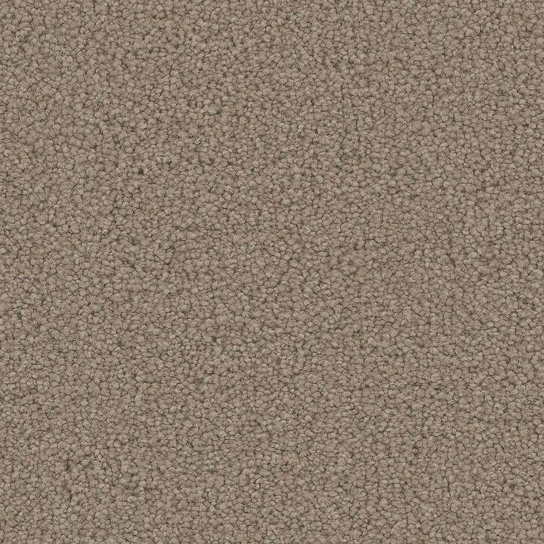 Phenix Floor Ever Pet Plus 12' Emerson Carpet Tile