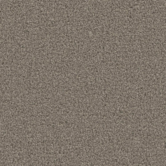 Phenix Floor Ever Pet Plus 12' Emerson Carpet Tile