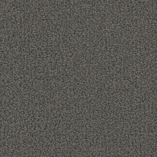 Phenix Floor Ever Pet Plus 12' Emerson Carpet Tile