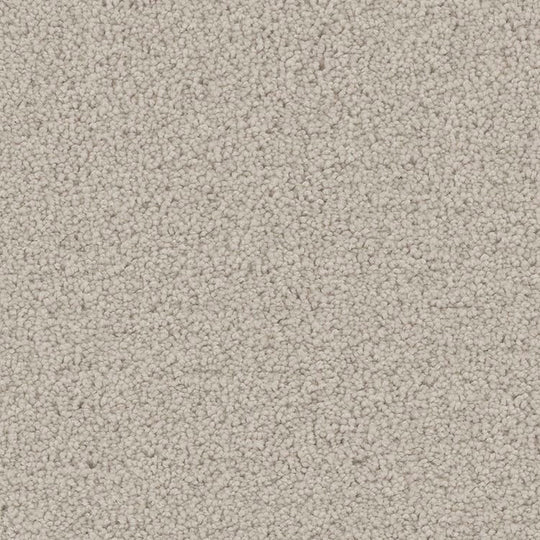 Phenix Floor Ever Pet Plus 12' Mateo Carpet Tile