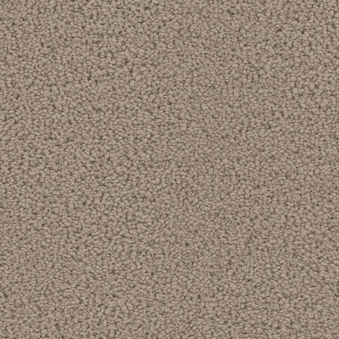 Phenix Floor Ever Pet Plus 12' Mateo Carpet Tile