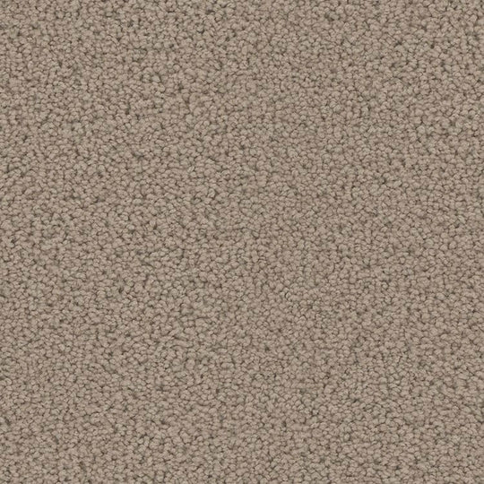 Phenix Floor Ever Pet Plus 12' Mateo Carpet Tile