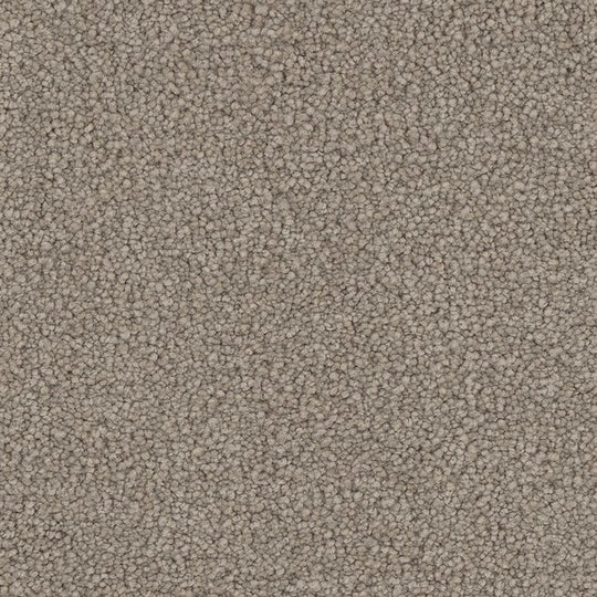 Phenix Floor Ever Pet Plus 12' Mateo Carpet Tile