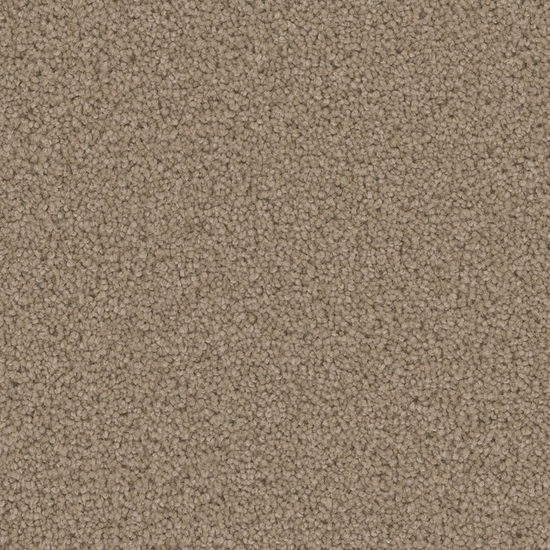 Phenix Floor Ever Pet Plus 12' Mateo Carpet Tile