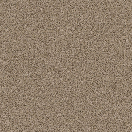 Phenix Floor Ever Pet Plus 12' Mateo Carpet Tile