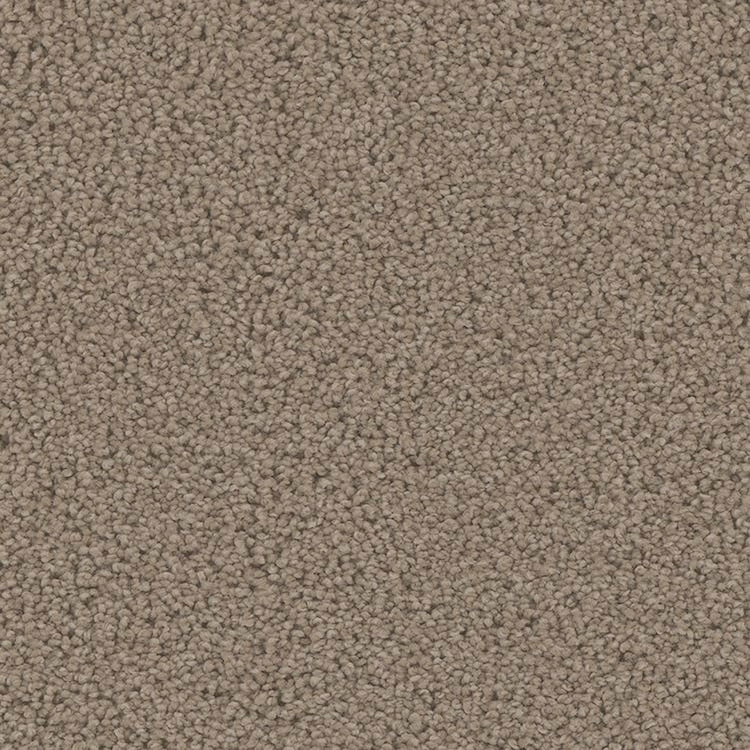 Phenix Floor Ever Pet Plus 12' Mateo Carpet Tile