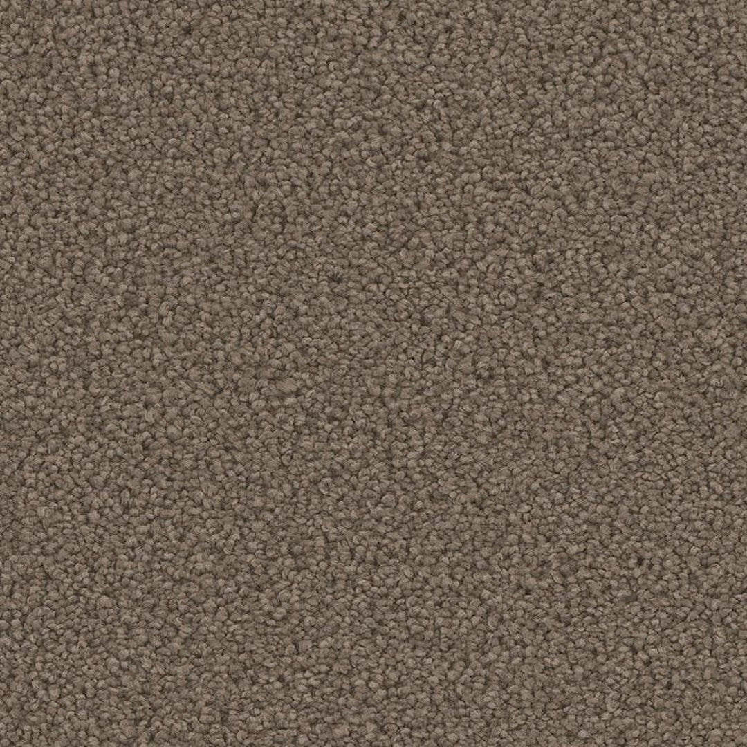 Phenix Floor Ever Pet Plus 12' Mateo Carpet Tile