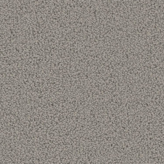 Phenix Floor Ever Pet Plus 12' Mateo Carpet Tile