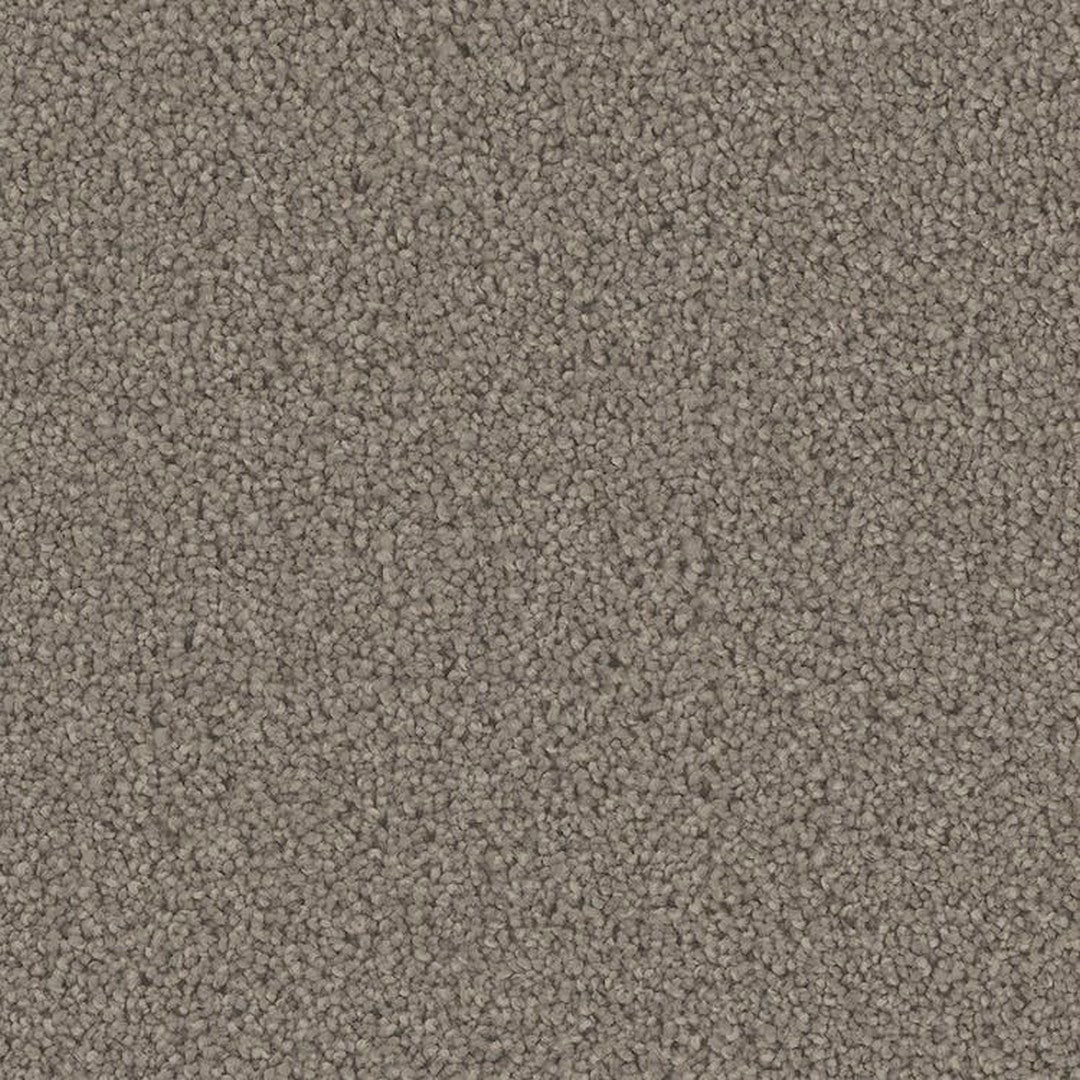 Phenix Floor Ever Pet Plus 12' Mateo Carpet Tile