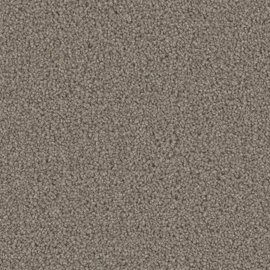 Phenix Floor Ever Pet Plus 12' Mateo Carpet Tile